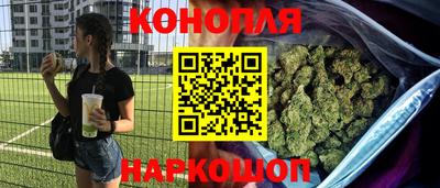 дурь Камышлов