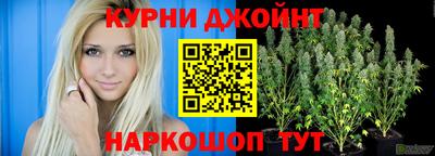 дурь Камышлов